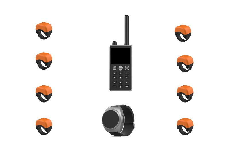  CSD-JK-DZ300智能監(jiān)防終端（電擊腳扣）